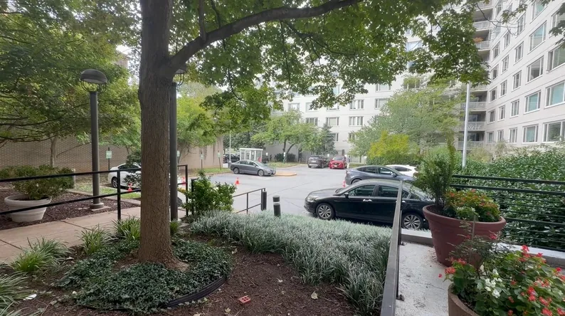 View of the patient parking lot from the building's back entrance